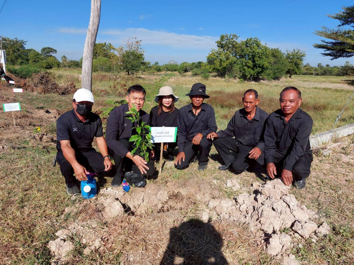 โครงการปลูกต้นไม้เฉลิมพระเกียรติ และวันสำคัญ  เนื่องในวันคล้ายวันพระบรมราชสมภพ พระบาทสมเด็จพระบรมชนกาธิเบศร มหาภูมิพลอดุลยเดชมหาราช  บรมนาถบพิตร และวันพ่อแห่งชาติ 5 ธันวาคม 2568 ของเทศบาลตำบลพันดุง อำเภอขามทะเลสอ จังหวัดนครราชสีมา