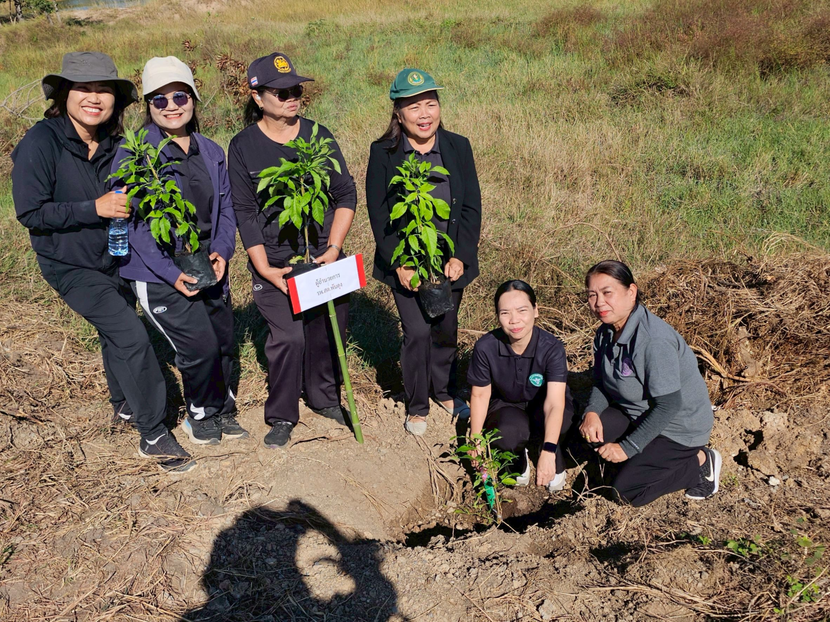 โครงการปลูกต้นไม้เฉลิมพระเกียรติ และวันสำคัญ  เนื่องในวันคล้ายวันพระบรมราชสมภพ พระบาทสมเด็จพระบรมชนกาธิเบศร มหาภูมิพลอดุลยเดชมหาราช  บรมนาถบพิตร และวันพ่อแห่งชาติ 5 ธันวาคม 2568 ของเทศบาลตำบลพันดุง อำเภอขามทะเลสอ จังหวัดนครราชสีมา