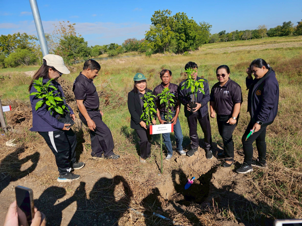 โครงการปลูกต้นไม้เฉลิมพระเกียรติ และวันสำคัญ  เนื่องในวันคล้ายวันพระบรมราชสมภพ พระบาทสมเด็จพระบรมชนกาธิเบศร มหาภูมิพลอดุลยเดชมหาราช  บรมนาถบพิตร และวันพ่อแห่งชาติ 5 ธันวาคม 2568 ของเทศบาลตำบลพันดุง อำเภอขามทะเลสอ จังหวัดนครราชสีมา