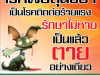 กองสาธารณสุขและสิ่งแวดล้อม  ขอประชาสัมพันธ์ เรื่อง โรคพิษสุนัขบ้า #โรคพิษสุนัขบ้ารักษาไม่หายเป็นแล้วตายอย่างเดียว
