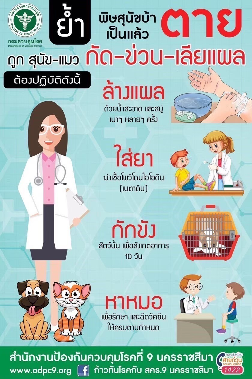 กองสาธารณสุขและสิ่งแวดล้อม  ขอประชาสัมพันธ์ เรื่อง โรคพิษสุนัขบ้า #โรคพิษสุนัขบ้ารักษาไม่หายเป็นแล้วตายอย่างเดียว