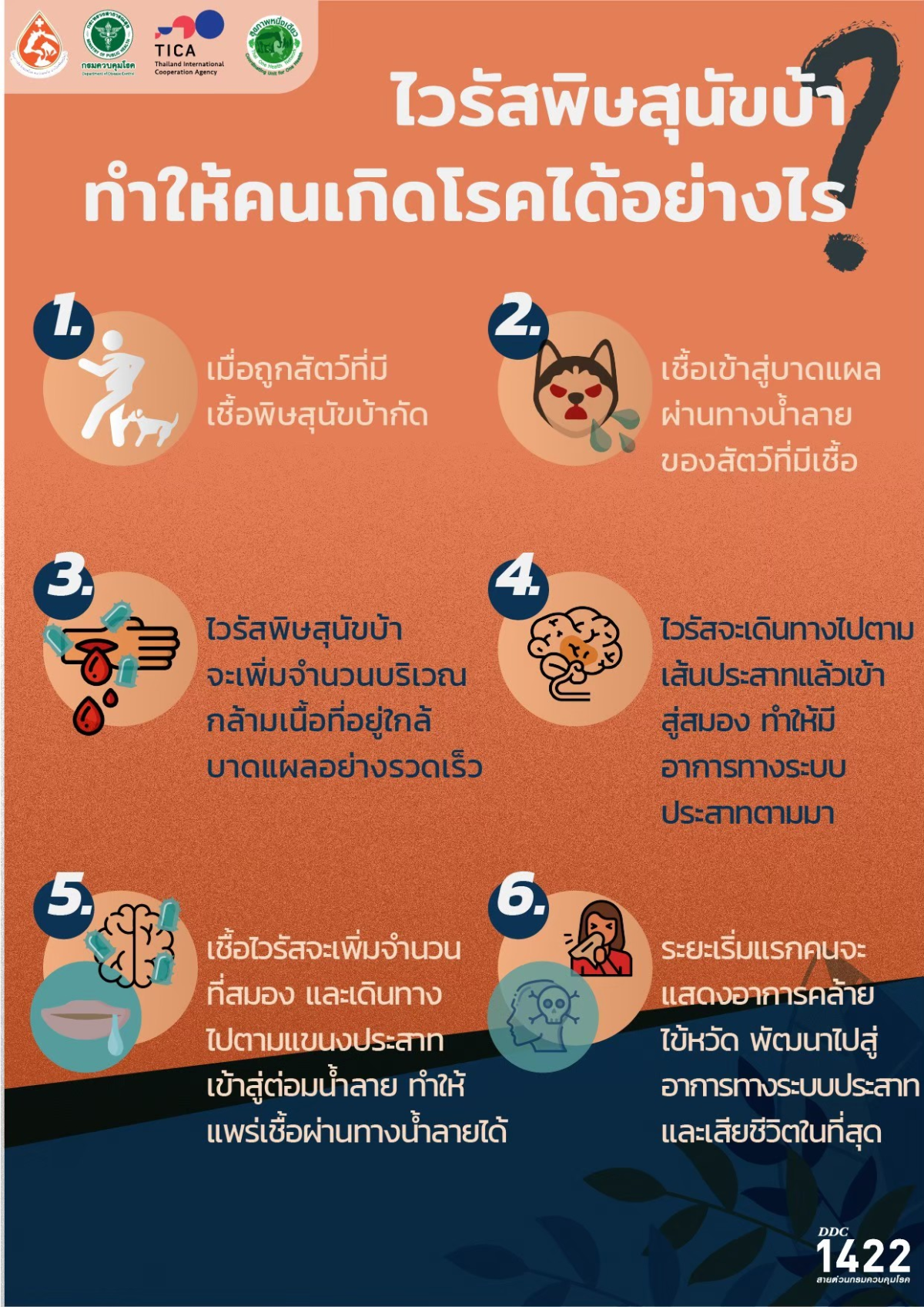 กองสาธารณสุขและสิ่งแวดล้อม  ขอประชาสัมพันธ์ เรื่อง โรคพิษสุนัขบ้า #โรคพิษสุนัขบ้ารักษาไม่หายเป็นแล้วตายอย่างเดียว